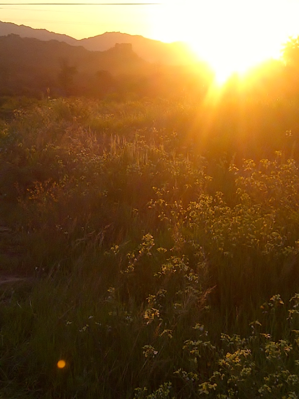 20120908-Citrusdal at sunset