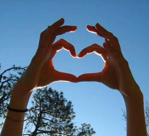 carly's loving hands