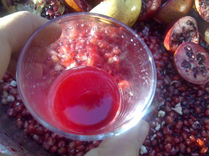 Fethiye-20121113-01327