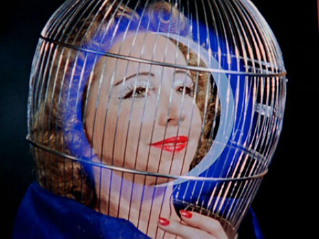 anaisninangerinaugfhdhjdjkdkld