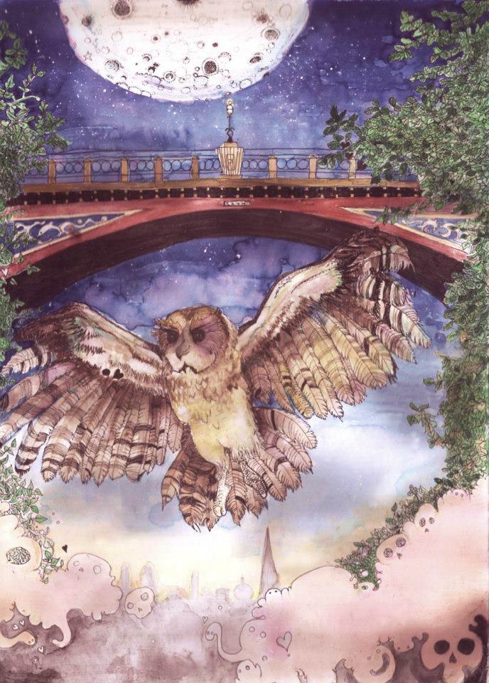Owl flying under the 'suicide bridge', Archway Road, Highgate. I never see them, but i hear them.