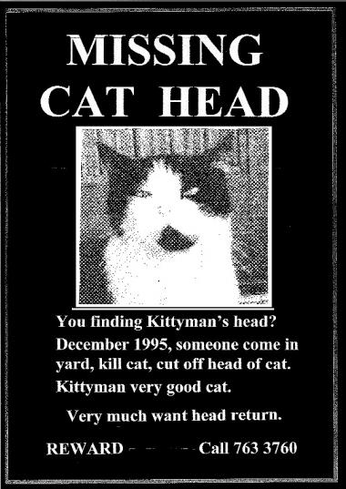 missing cat head