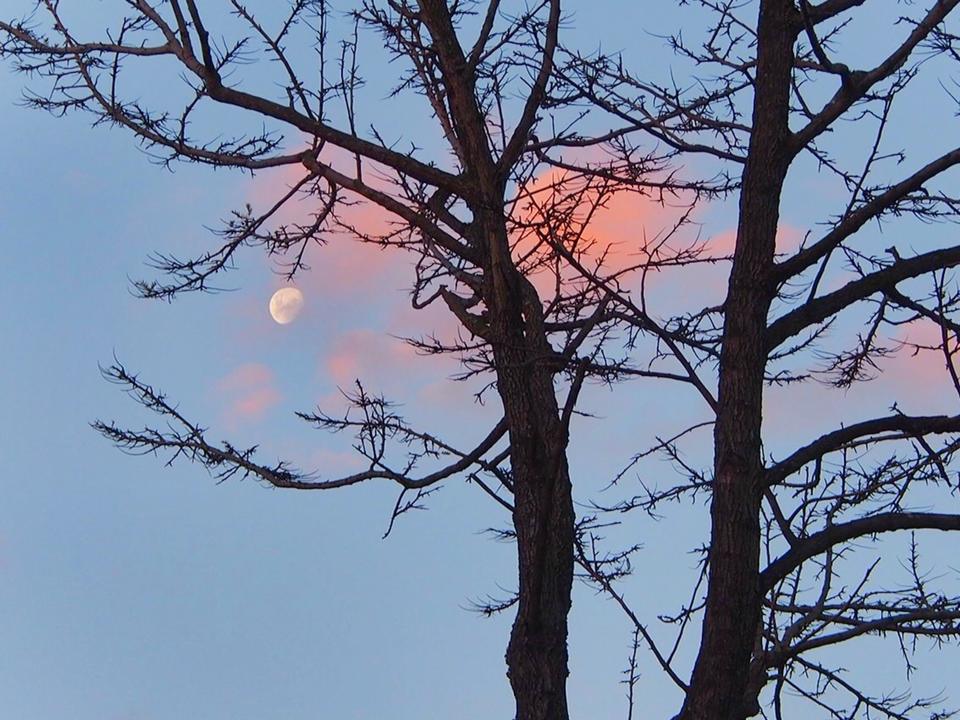 Stella Trochalis - Hello Virgo Moon