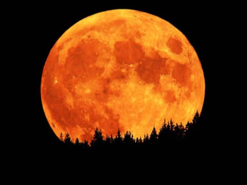 HarvestMoon