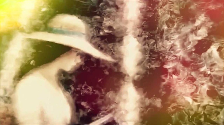 Still from the Alexander Petrov footage that was paired with the song.