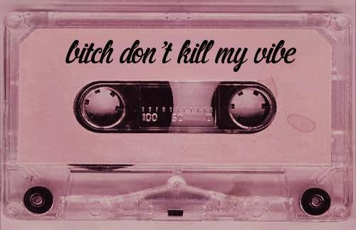 bitch don't kill my vibe