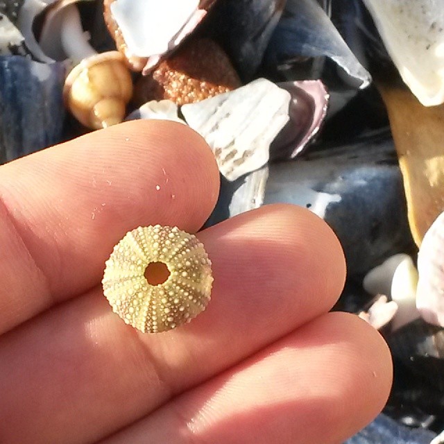 Bakoven, 28 April 2014.