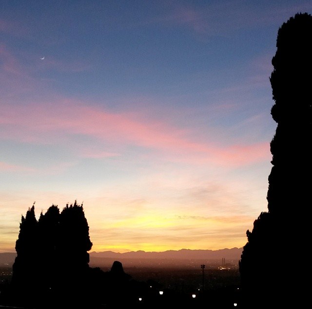 Upper Campus, UCT, this morning.
