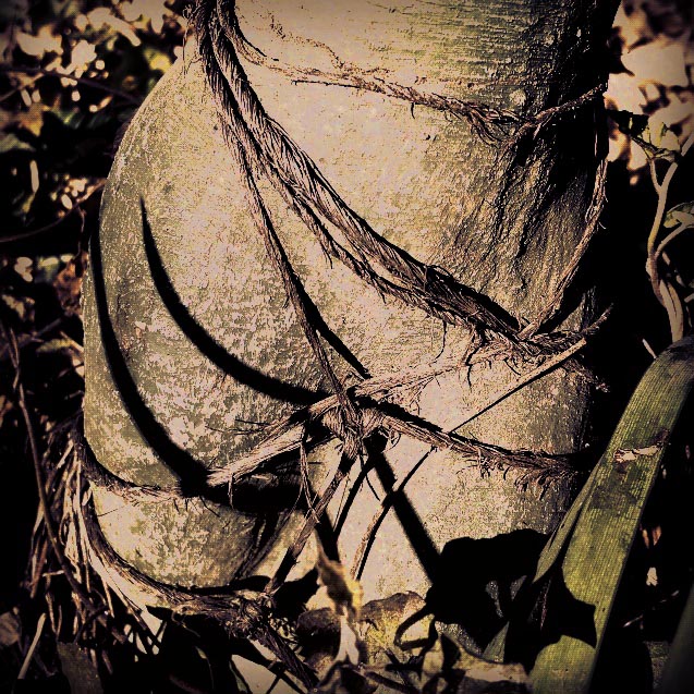 ‪#‎BedtimeStory‬: "every mouth you’ve ever kissed was just practice all the bodies you’ve ever undressed and ploughed in to were preparing you for me. i don’t mind tasting them in the  memory of your mouth they were a long hall way a door half open a single suit case still on the conveyor belt was it a long journey? did it take you long to find me? you’re here now, welcome home.”  ―Warsan Shire