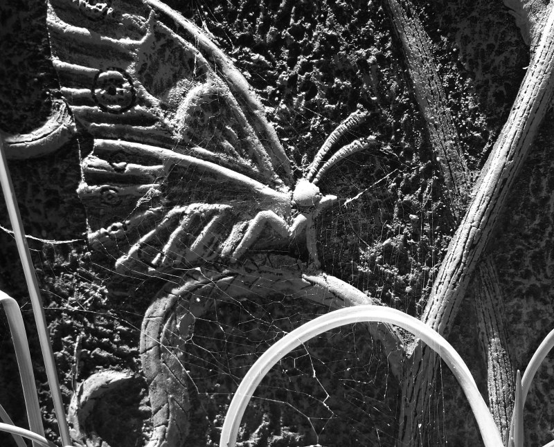 This is an innarestin juxtaposition of two potent symbols: the butterfly represents change and the cobweb, stasis. Robert Pirsig talks of two primary forms of value, static and dynamic. It's the tension between them that produces change and then cements it, in art, society, basically anything ..