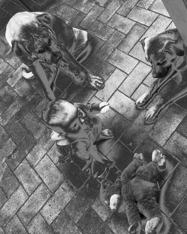 Wanna b your teddybear