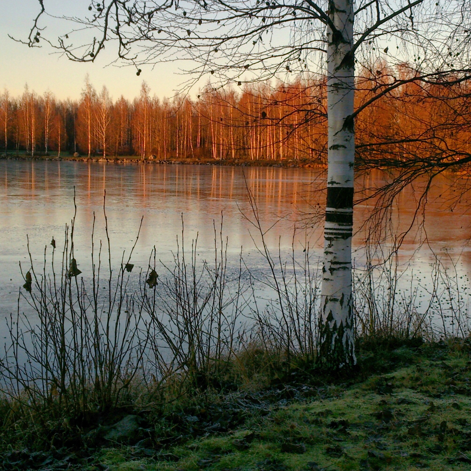 Photo: Rosemary Lombard